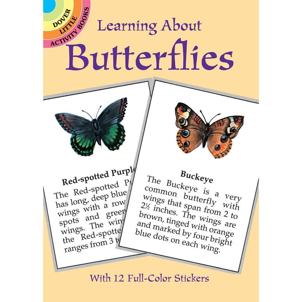 An Engaging Activity Book for Learning All About Butterflies